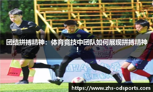 od官网官方网站